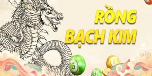Rồng Bạch Kim - Trang Web Tra Cứu, Cập Nhật Liên Tục