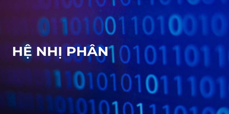 Mã nhị phân là gì được nhiều người quan tâm tìm hiểu